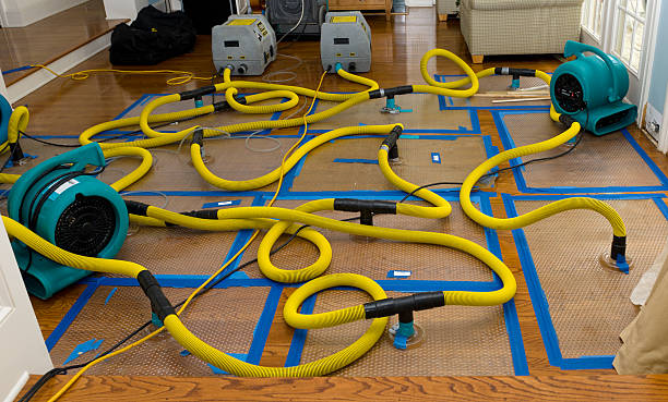 Professional Crawl Space Water Removal technician working in Summerfield, IL